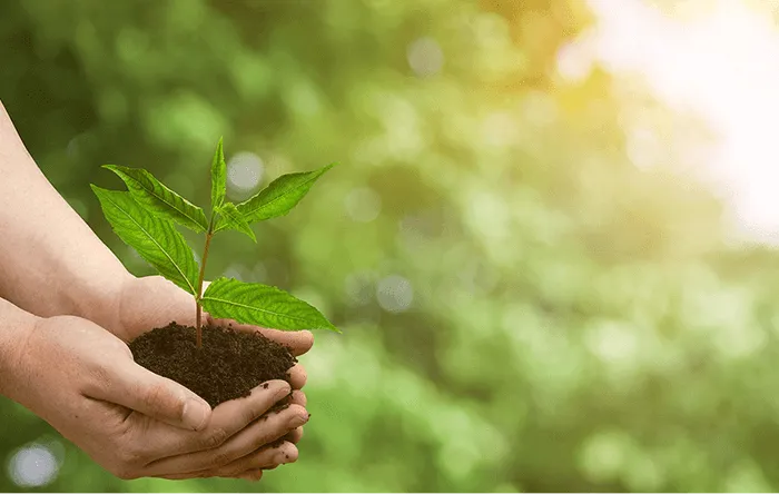 Reduction of fabric waste with 2SAVE Reduction of fabric waste with 2SAVE